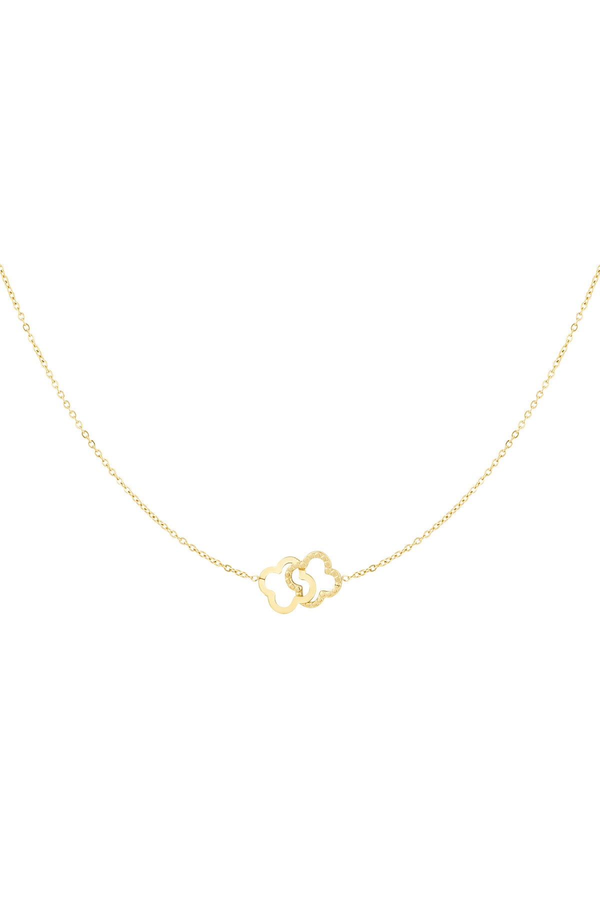 Geluksketting Gekoppeld, Stainless Steel, Goud kleur